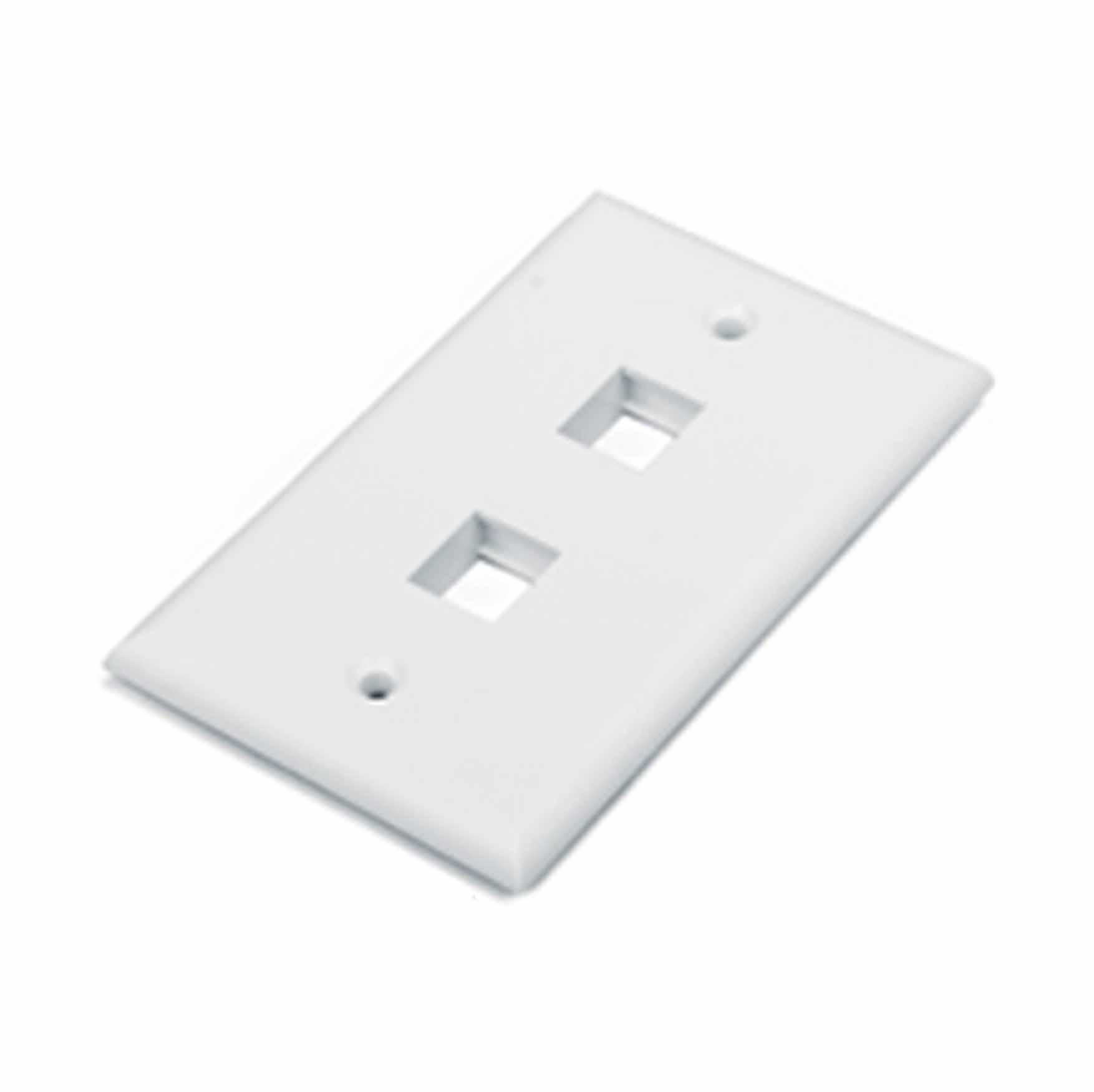 Infinique 2 Ports Anti-Bacterial Flat Face Plate